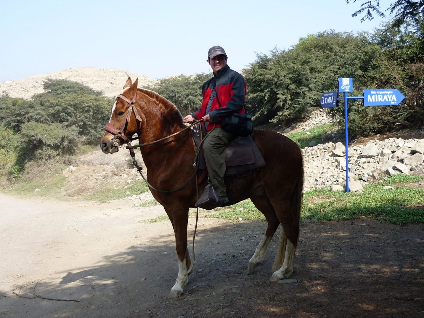 Monta de un caballo de paso peruano